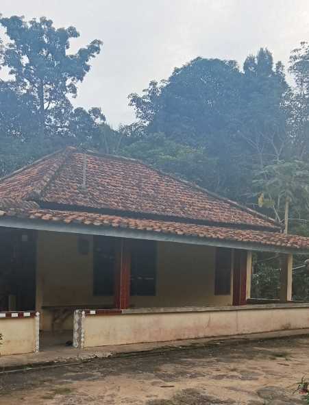 Belum Ada Foto